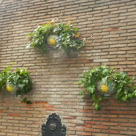 La Vecchia Palma Bed and Breakfast Κατάνια